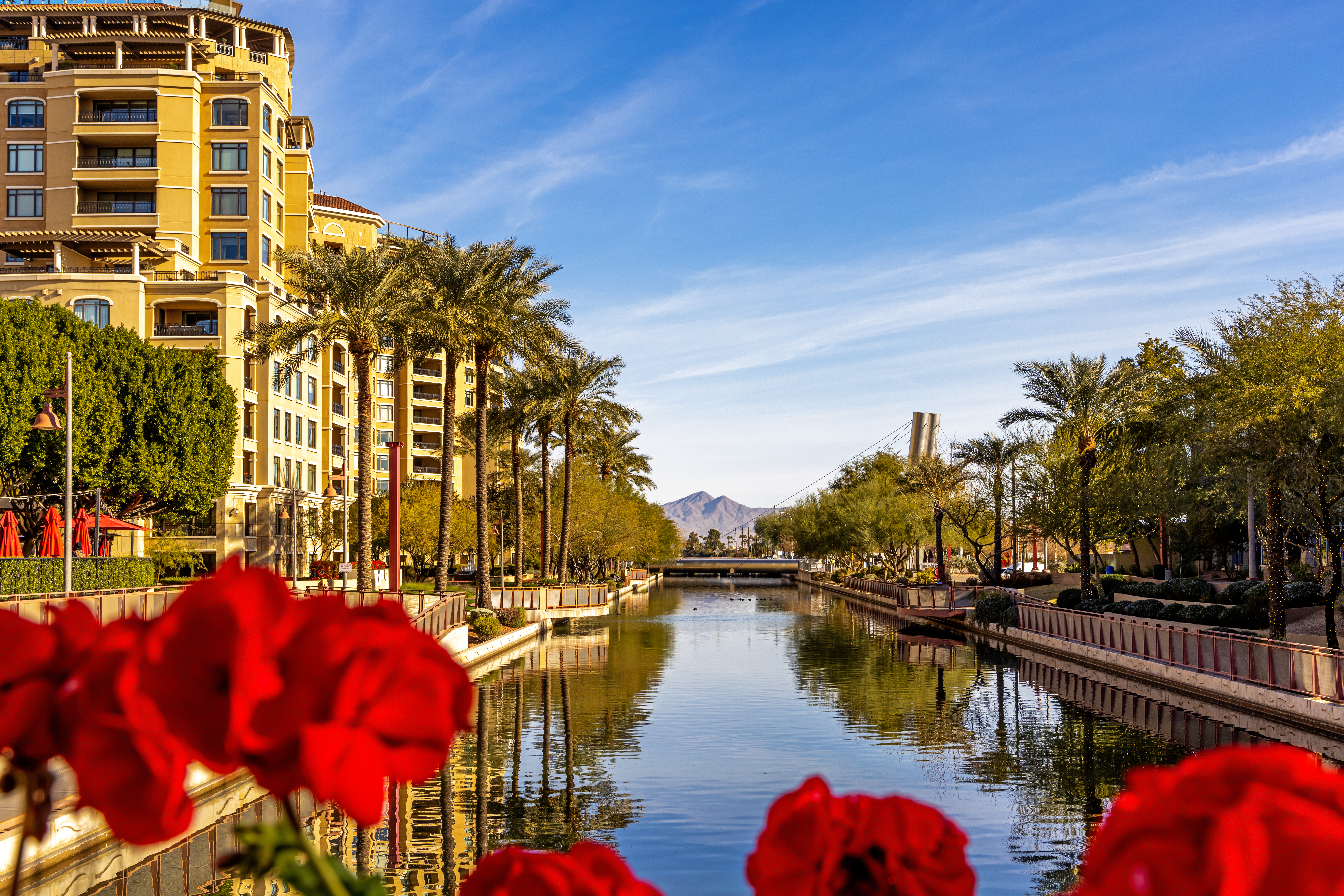 Arizona dining and entertainment area representing nearby lifestyle options